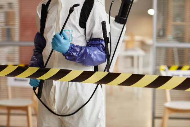 Professional Blood Cleanup technician working in Grand Island, FL